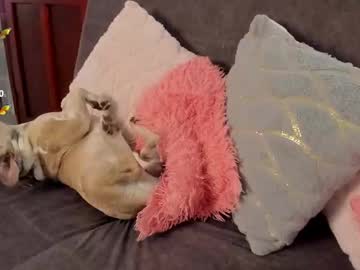 See Haileebeer_ online Now @ gooch.cam